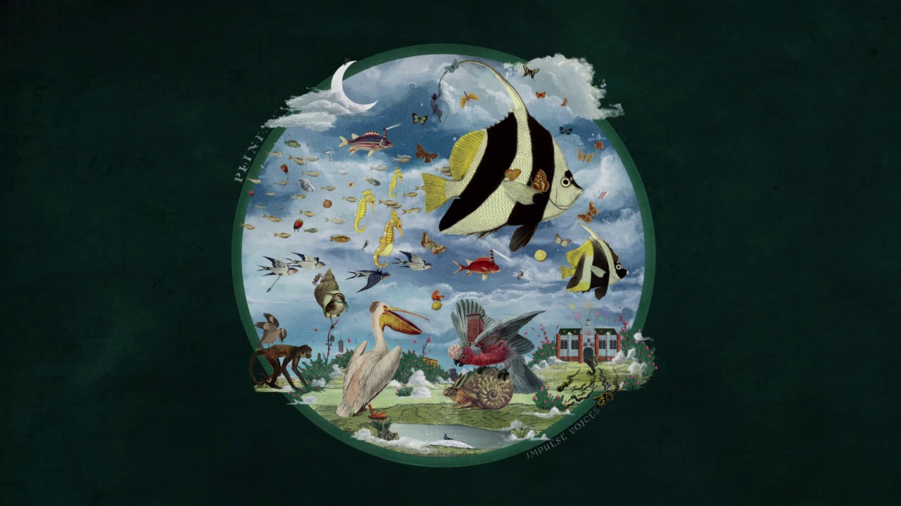 Plini – I'll Tell You Someday (Audio)