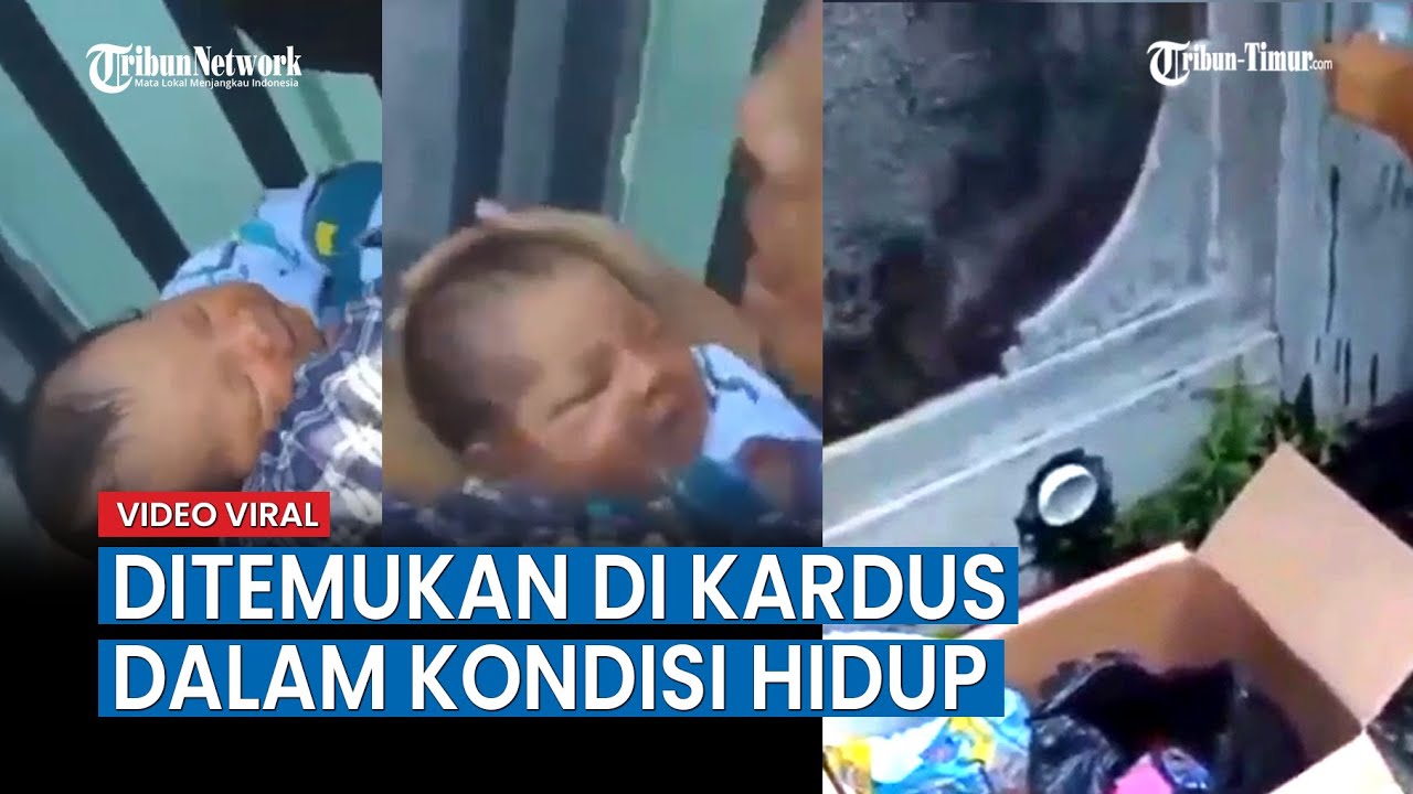 Bayi Perempuan Ditemukan di Kardus Dalam Kondisi Hidup di Bali
