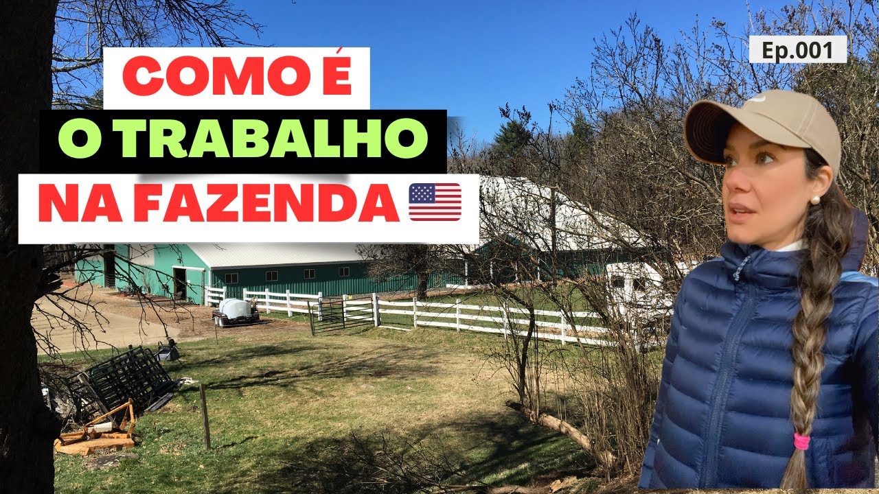 COMO É O TRABALHO DE AJUDANTE NUMA FAZENDA DE CAVALO EM MASSACHUSETTS- EUA #brasileirosnoseua