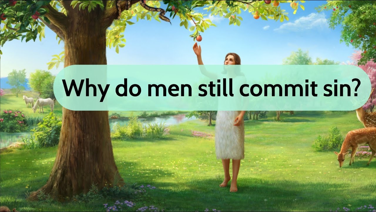 Why do men still commit sin?