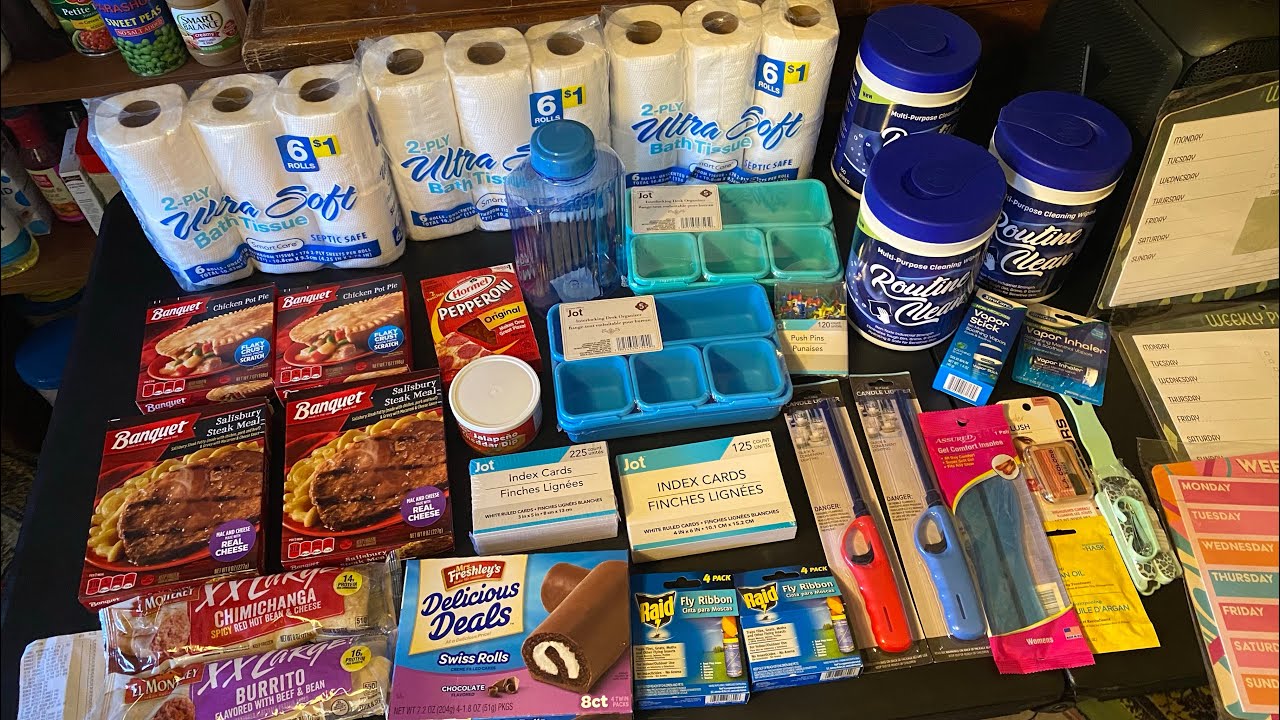 $44.63 Dollar Tree Food & Supplies Haul, frozen food to beat the heatwave inflation recession 2024