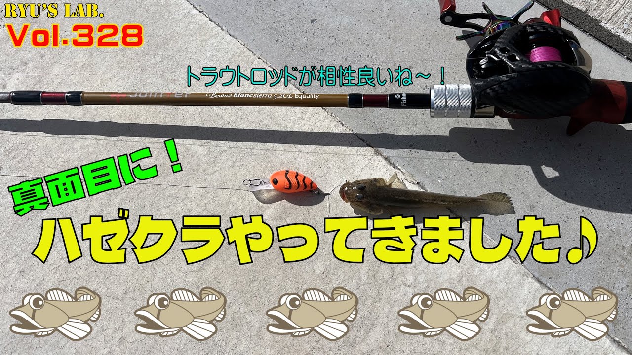 【ハゼ釣り】真面目にハゼクラやってきました♪ Ryu’s Lab. 第328弾 #ハゼクラ #ハゼ釣り #内房