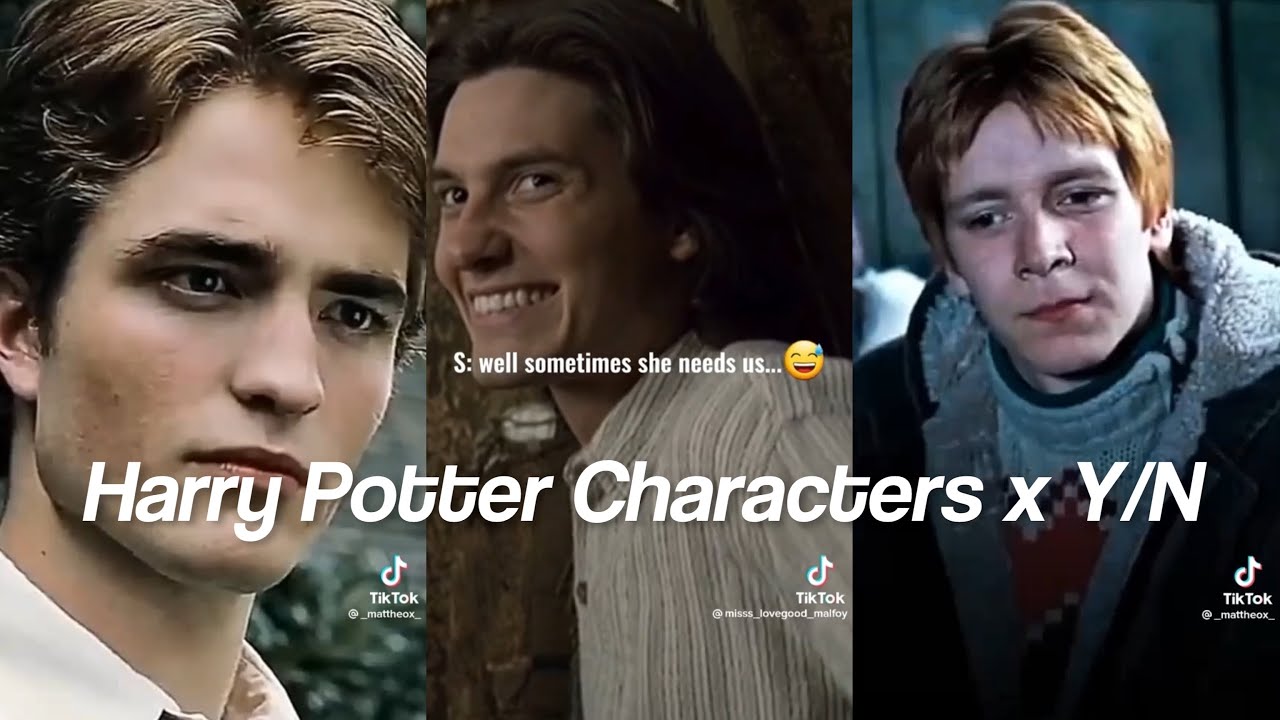 Harry Potter Characters x Y/N TikTok POV