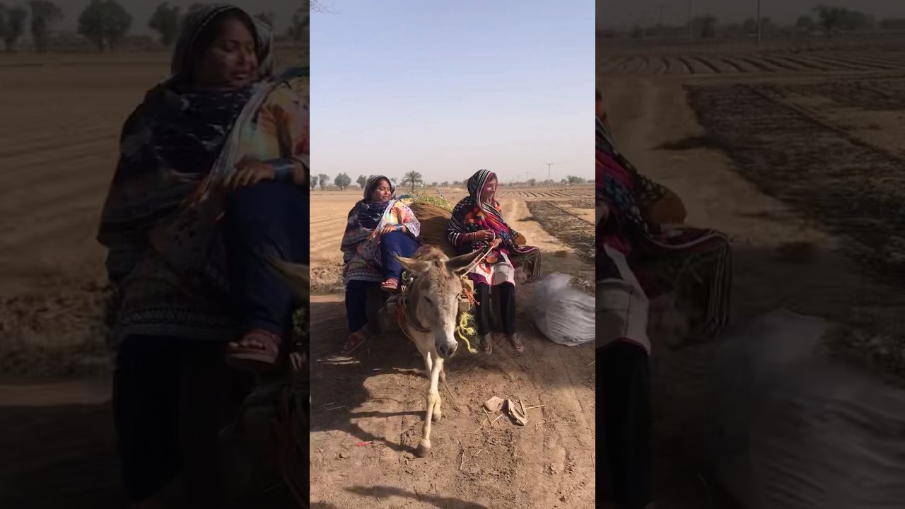 Donkey Ride by Village girls #short #shorts #trending #viralshorts