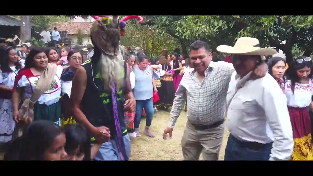 12 DICIEMBRE CARGUEROS DULCE Y ALEJANDRO PRT 3