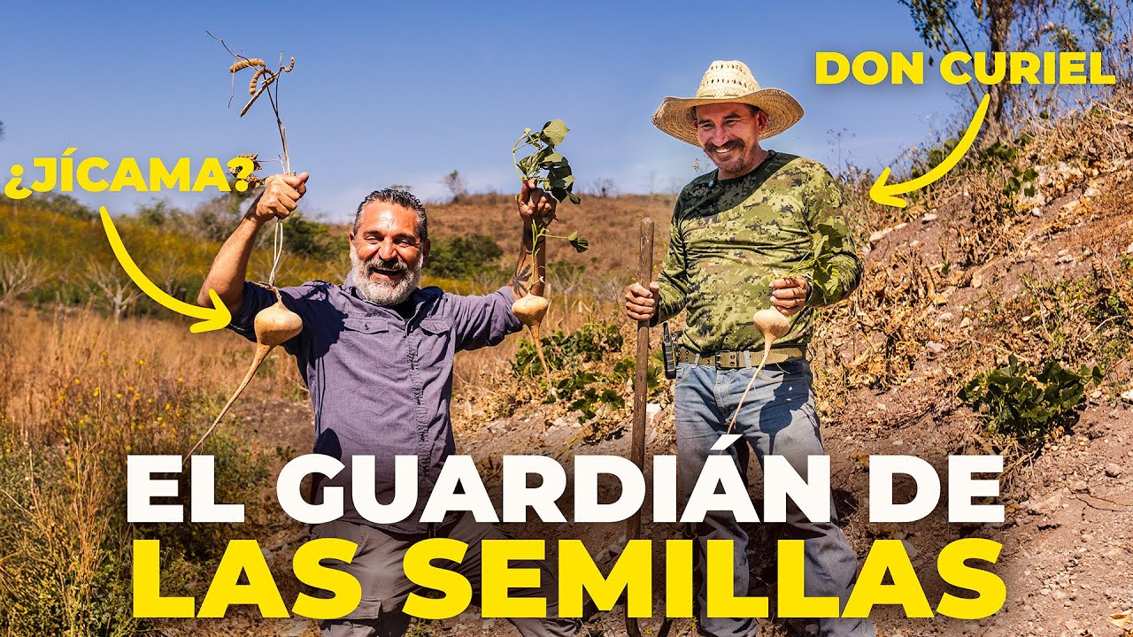 Don Curiel: El Guardián de los Sabores y Semillas en Ixtlahuacán | Colima Sabe