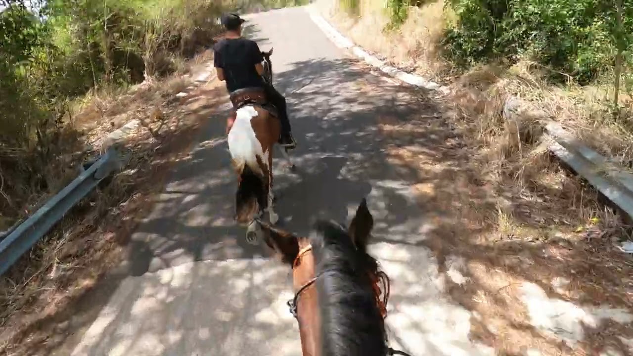 La ecuación de cada caballo es distinta, conoce la de Milán #elcaballoyelcaballista #loscodigos