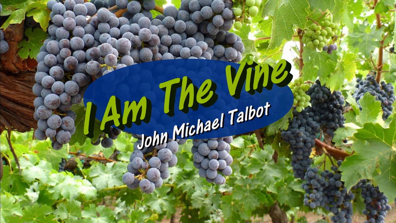I Am The Vine