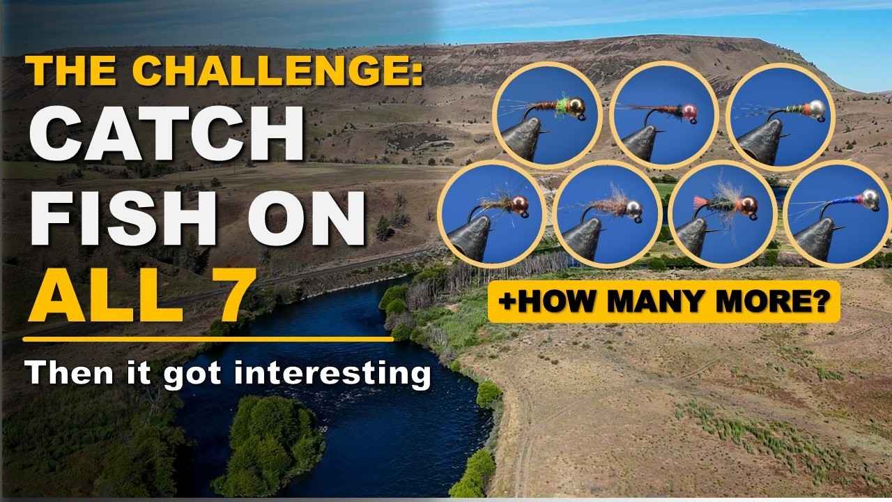 I Tried to Catch Fish on 7 Flies — Then the Real Challenge Began