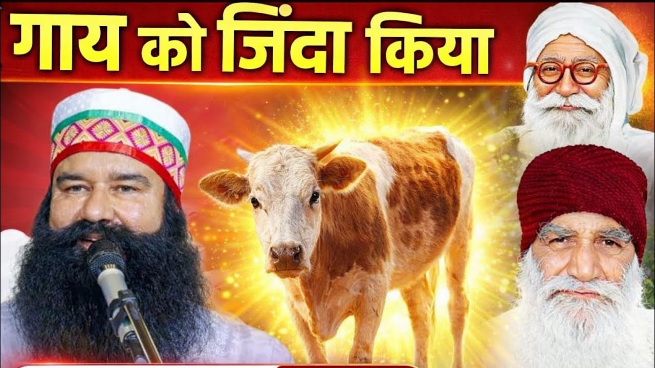 Dera sacha sauda Letest चमत्कार। ।Dr Saint msg। ।Baba Ram Rahim Singh Ji Insan। ।Saint Msg 