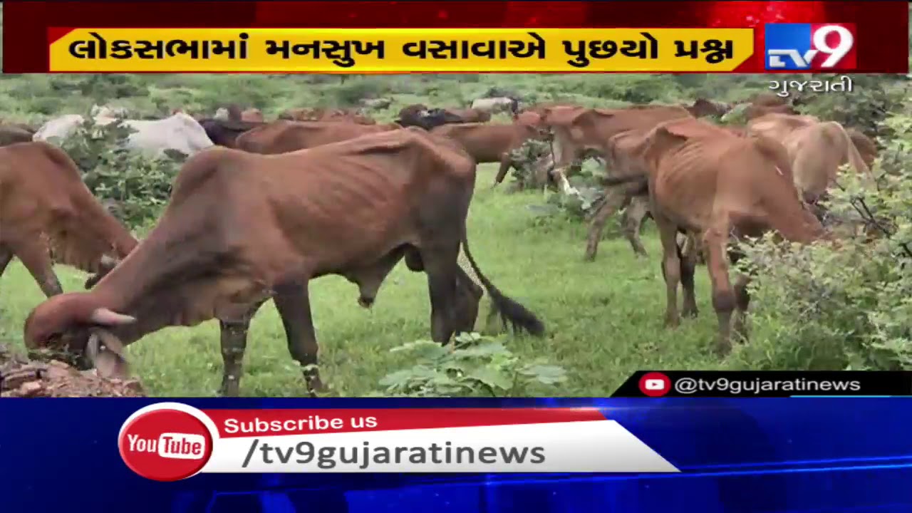 BJP MP Mansukh Vasava raises irrigation water issue near Bharuch, in Lok Sabha | TV9GujaratiNews