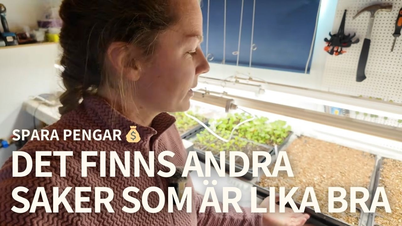 bygg en billigare förodlingsstation