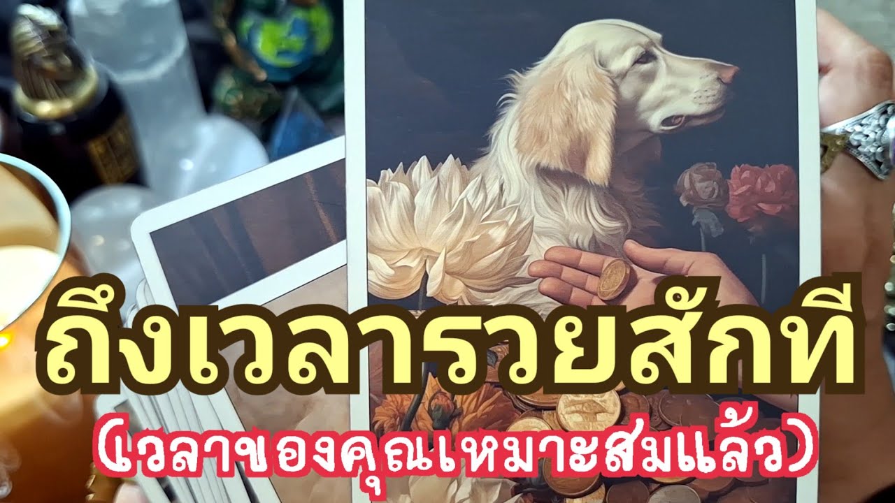 🌈✨️ถึงเวลาที่คุณจะรวยสักที✨️🌈#ไพ่ยิปซี #ไพ่ทาโรต์ #แม่หมอชุลีกร #ดูดวงไพ่ยิปซี 
