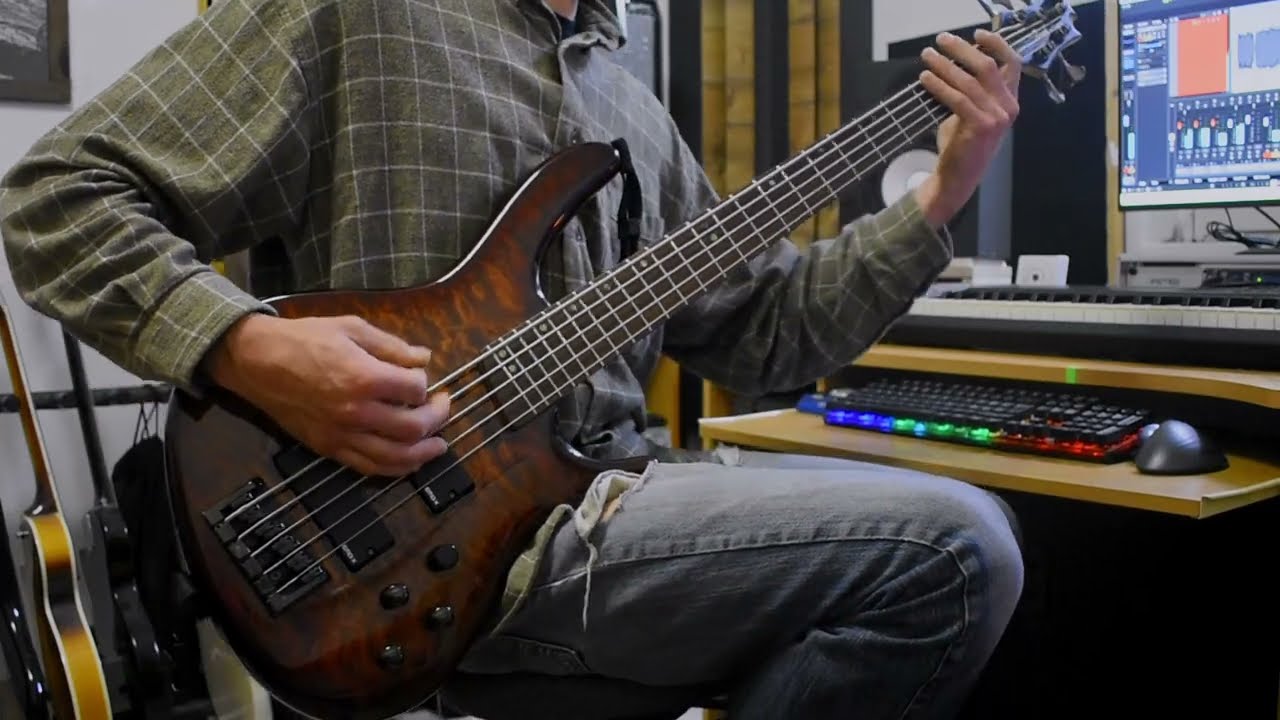 Wormholes - Volumes (bass cover)