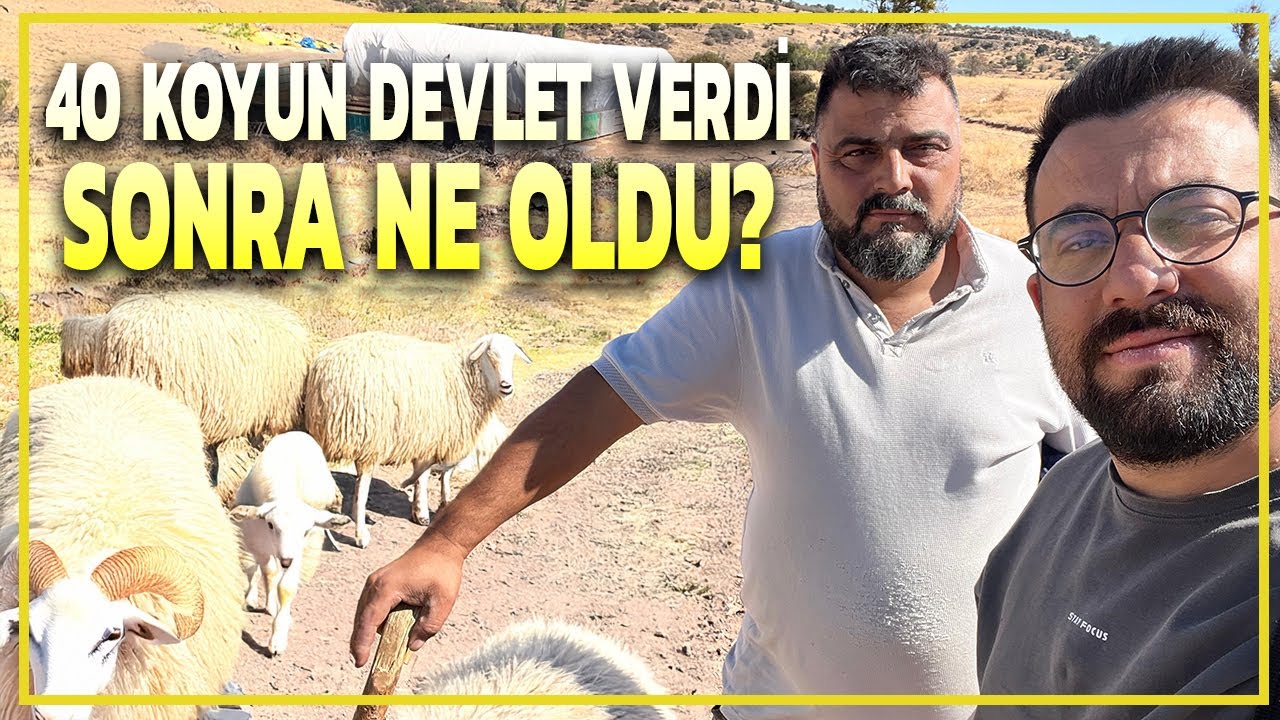 40 koyunla başladı şimdi servet sahibi oldu- Bu işi sevmeyen yapamaz