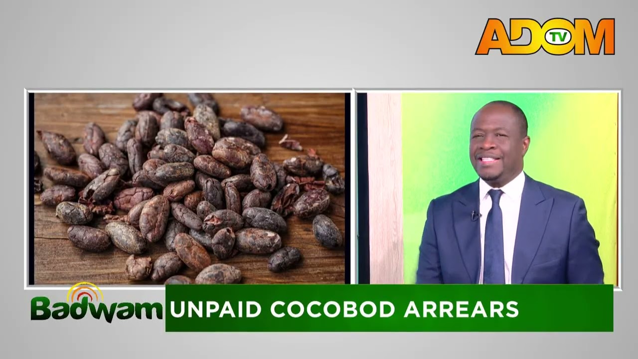 Unpaid Cocobod Arrears: The current managing director isn't taking instructions from the CEO- Boafo