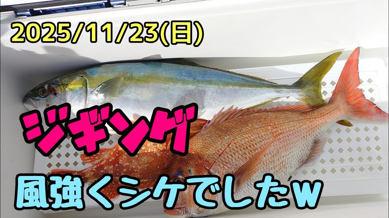 【ジギング、タイラバ】青物狙いは微妙な結果でしたw