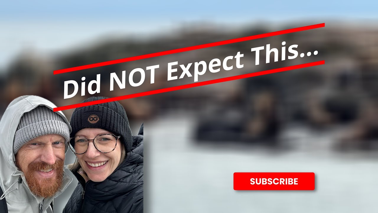 Day 7 in Victoria | Whale Watching, Sea Otters, Fisherman’s Wharf & Our Last Night Onboard!