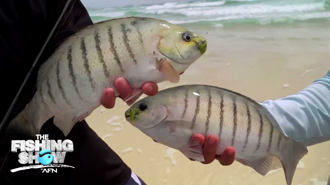 Land-based Fishing Techniques for Luderick