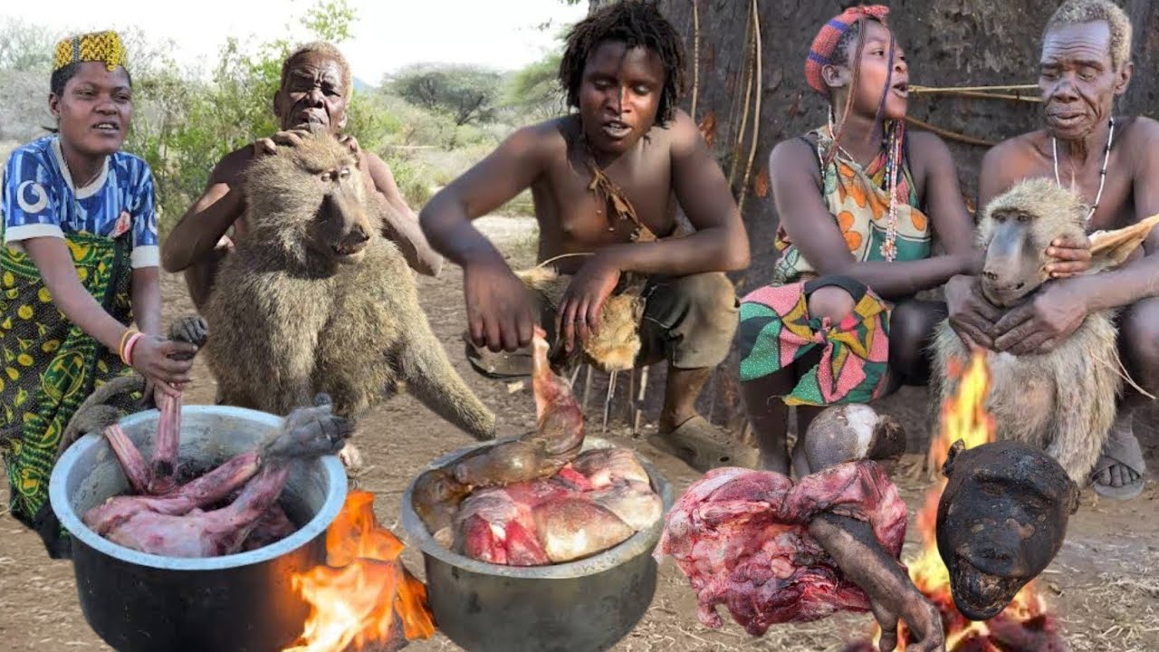 Discover Hadzabe Tribe Wild Baboon Hunting & Cooking in the Forest🌵Delicious Wild Meat😋