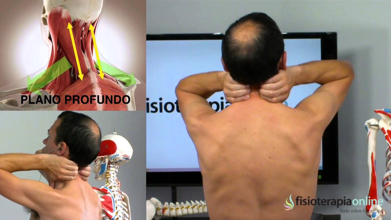 Tratamiento dolor en el cuello y los hombros - Fisioterapia Bilbao