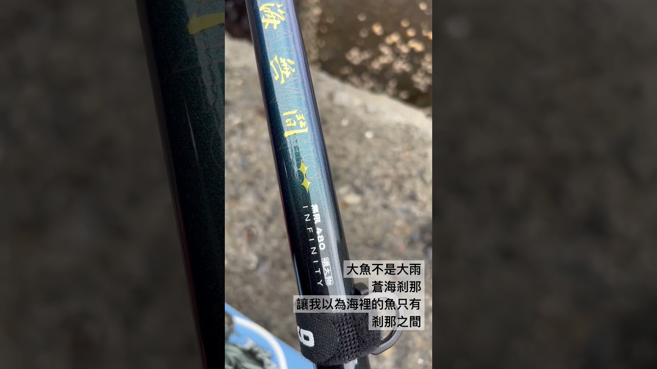 活魚放流  海口港 要大魚不是大雨 滄海無間無限♾️480配剎那14000型。