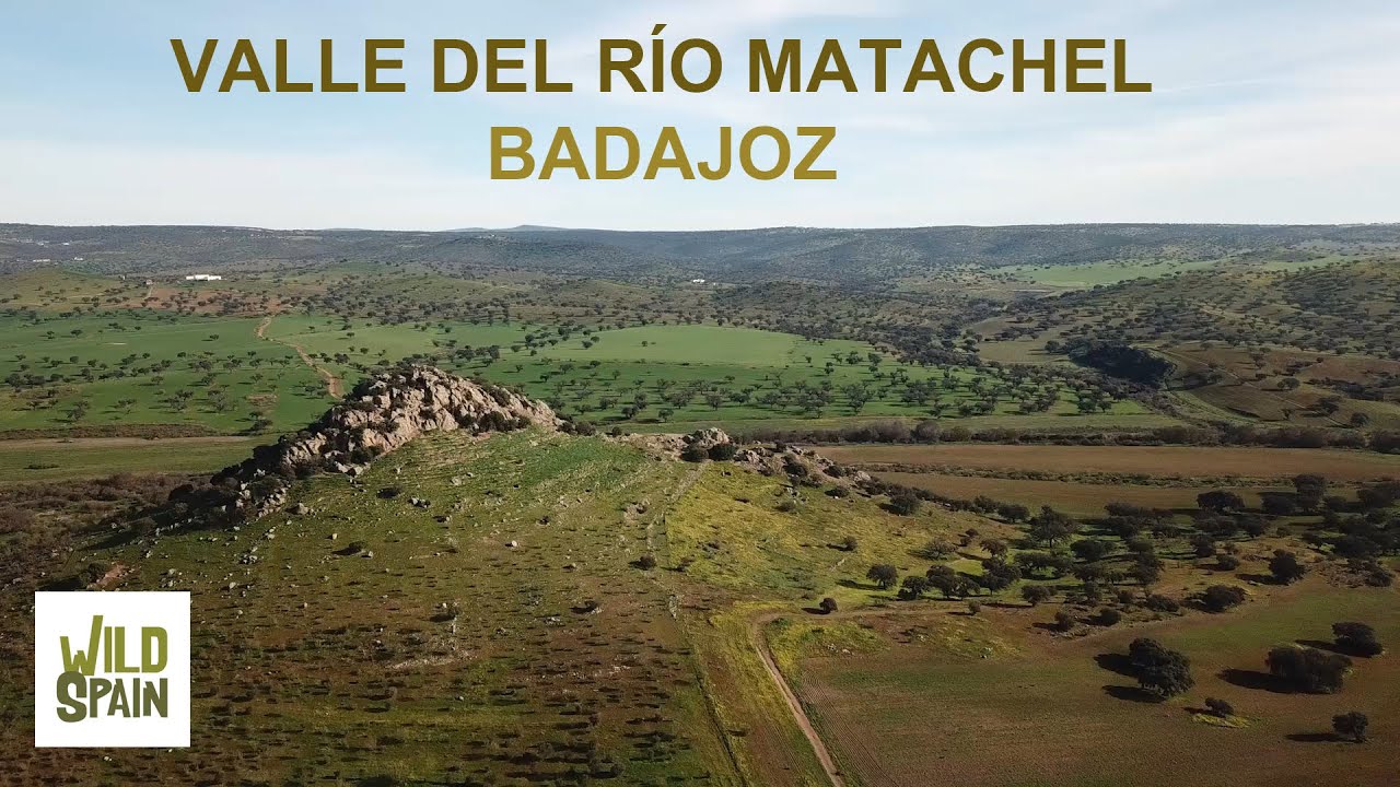 Wild Spain - Capítulo 228 - Valle del río Matachel, Badajoz.