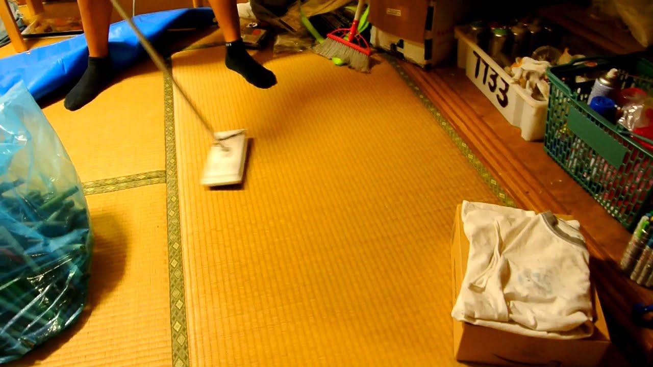 Japanese Centipede in my Room