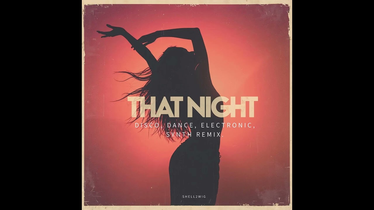 That Night (electronic, synth, nu-disco version)