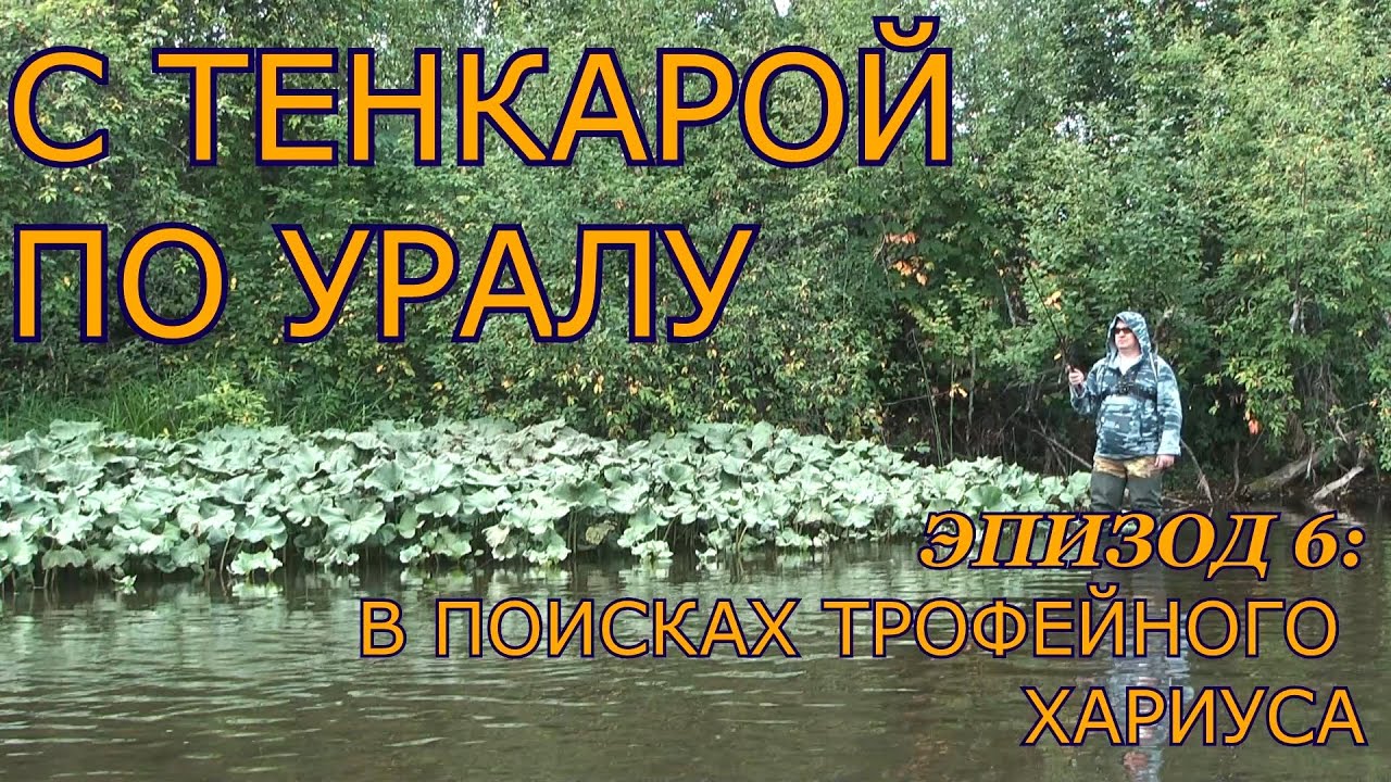 С тенкарой по Уралу. Эпизод 6: Ловля хариуса в небольшой речке #ловляхариуса