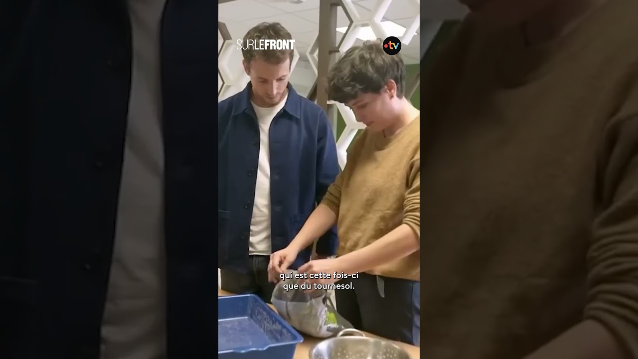 Halucynacja! Du pollen retrouv&eacute; dans les graines pour poules - Sur le front avec Hugo Cl&eacute;ment