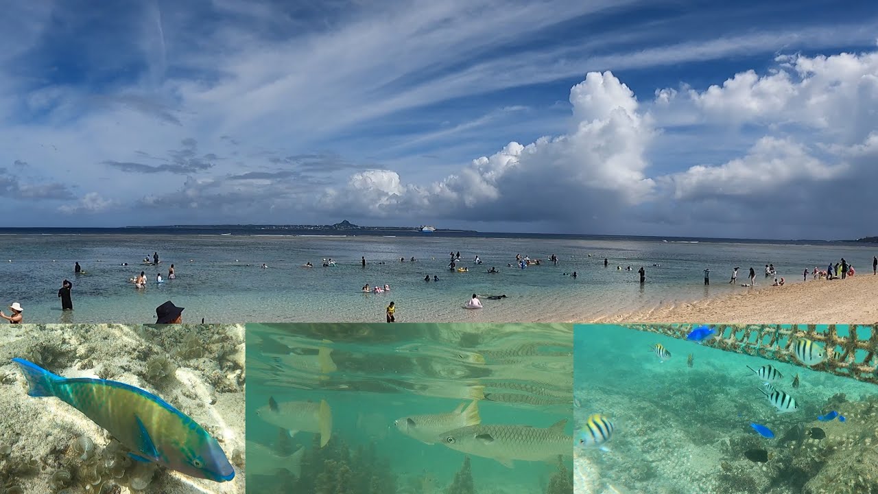 【GoPro】2025/07/21 沖縄　瀬底ビーチでシュノーケリング。魚がいっぱい！