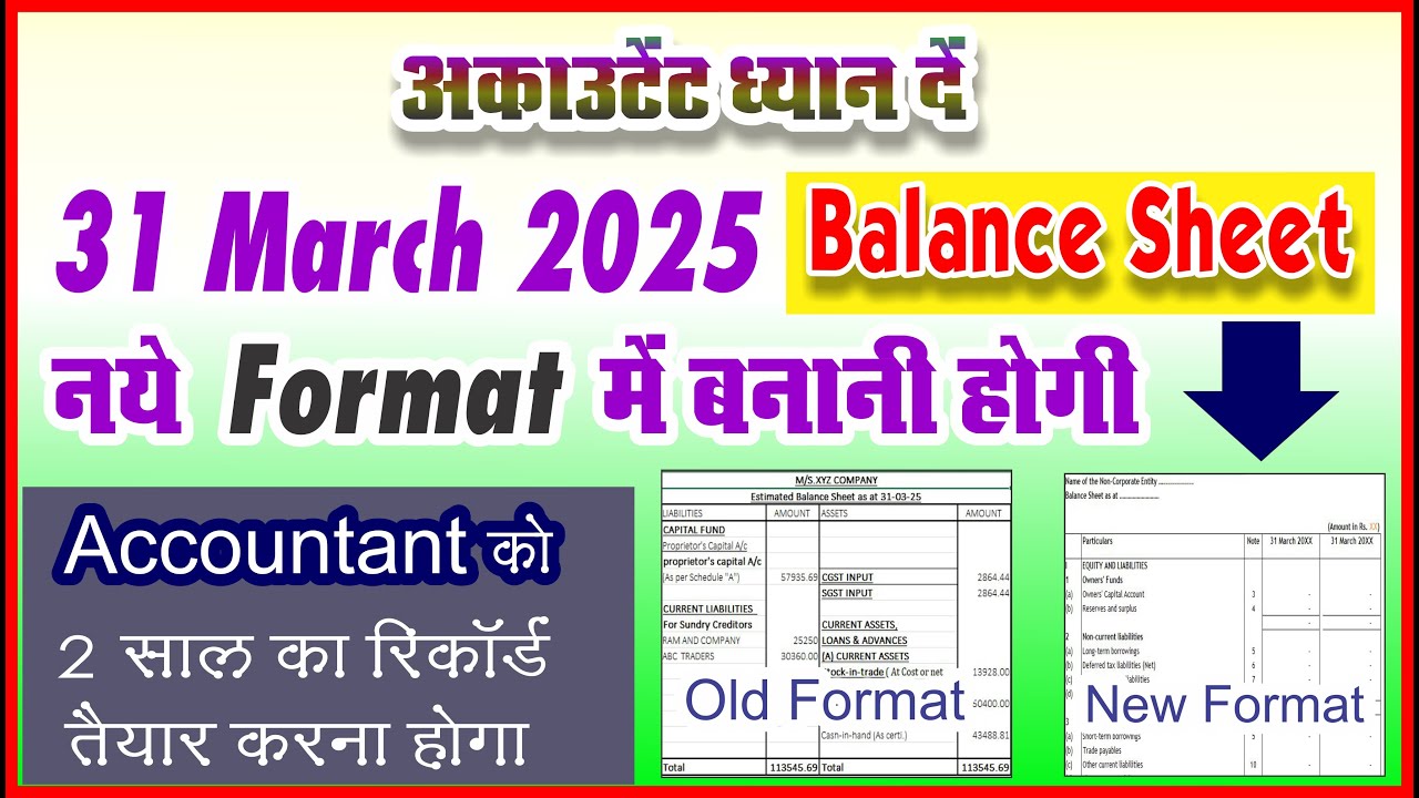 New Financial Report Format | New Format of Balance sheet in Excel | Balance sheet New Format 2025