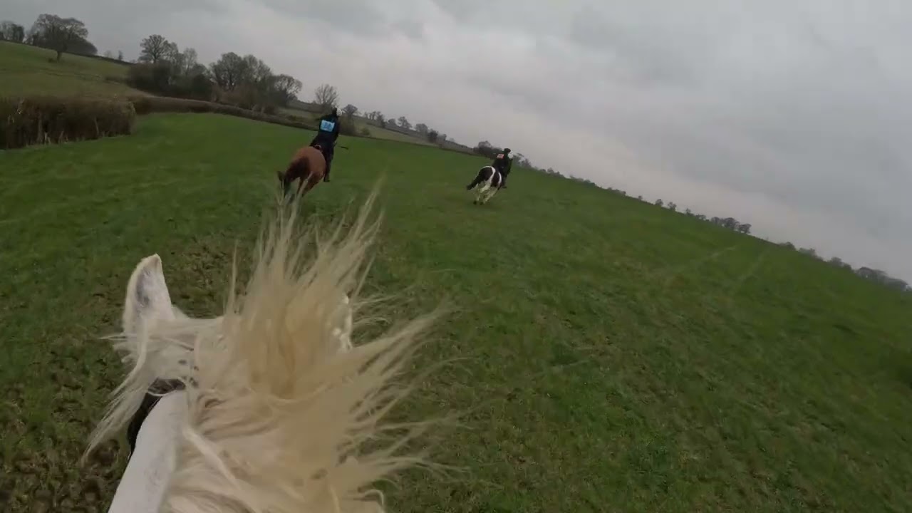 Blind leading the Blind - Beaufort team chase Novice