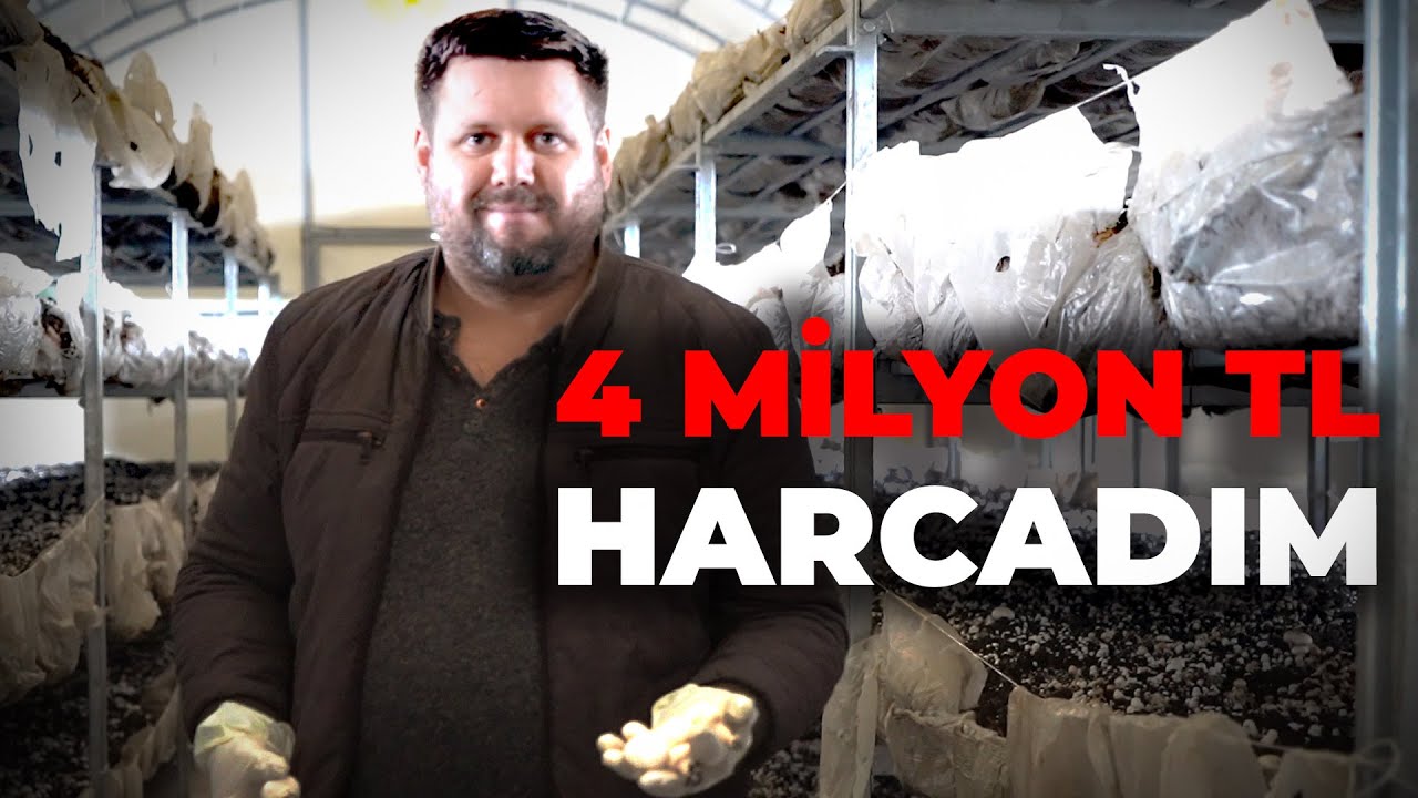 "Dipten geldim, sorunlar yaşadım, arabamı satmak zorunda kaldım" - Kültür Mantarı Üretimi
