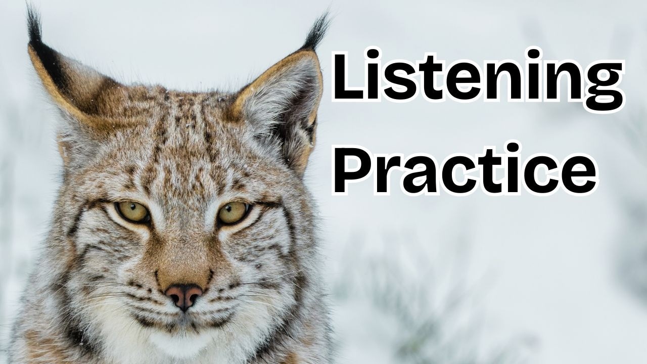 Canadian Animals – English Listening Practice with Wildlife Facts