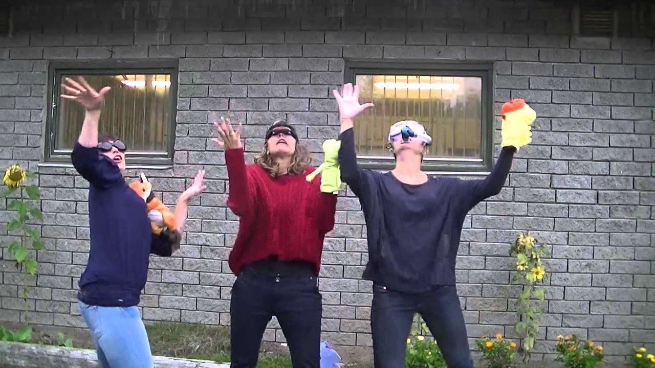 What does the fox say - p&aring; tegnspr&aring;k - signlanguage