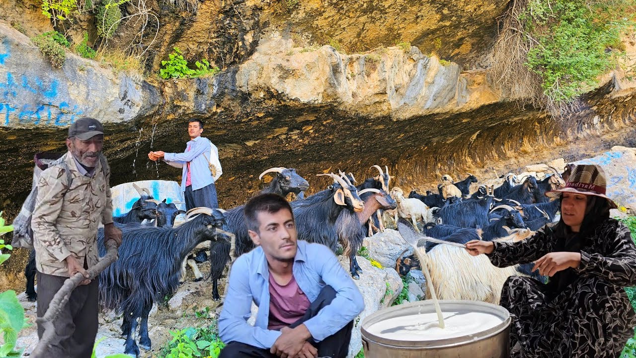 Daily narrative of nomadic life | Breakfast in a cave with water dripping from the ceiling 🏔️💧🐑