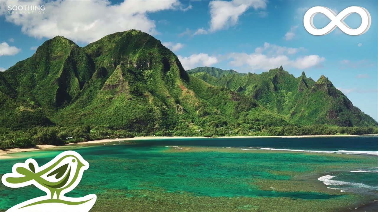 8 Hours of Deep Sleep Music &bull; Fall Asleep in a Tropical Paradise #134