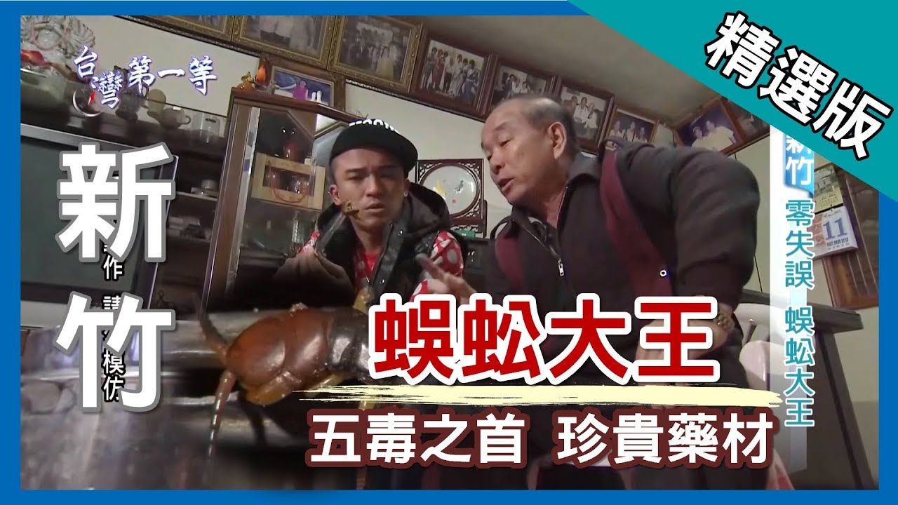 台灣第一等【達人鐵筷抓蜈蚣 最珍貴藥材】新竹 _精選版