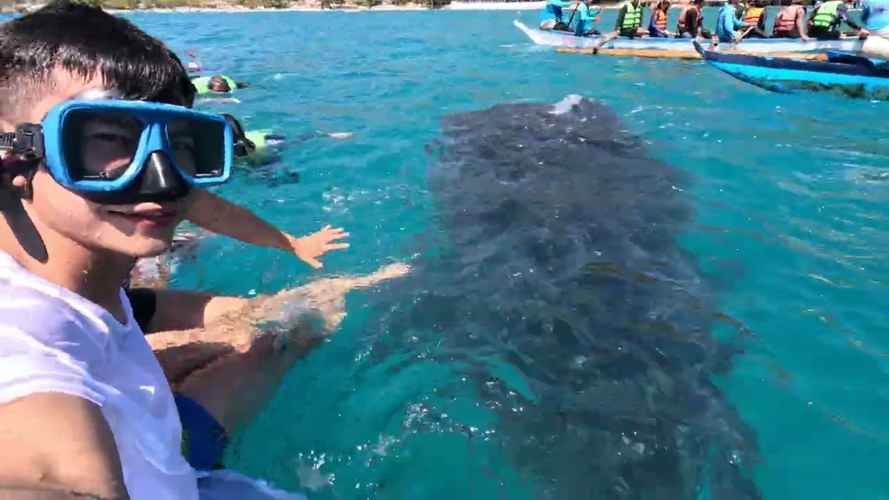 BALLESTEROS in Oslove pt 8