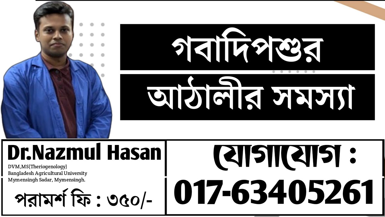 গবাদিপশুর আঠালীর সমস্যা ও সহজ সমাধান |DR.Nazmul Hasan-Vet.