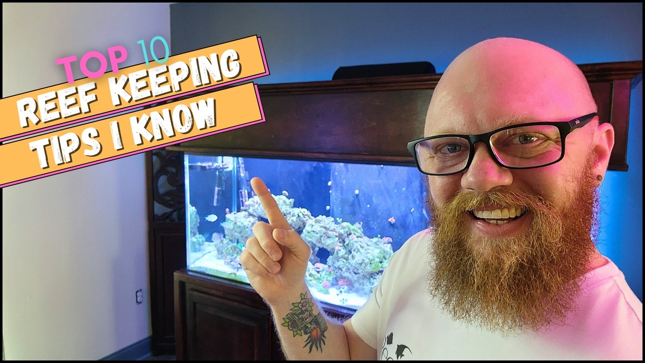 Saltwater Aquarium Beginners START HERE! My TOP 10 tips for reef keeping!