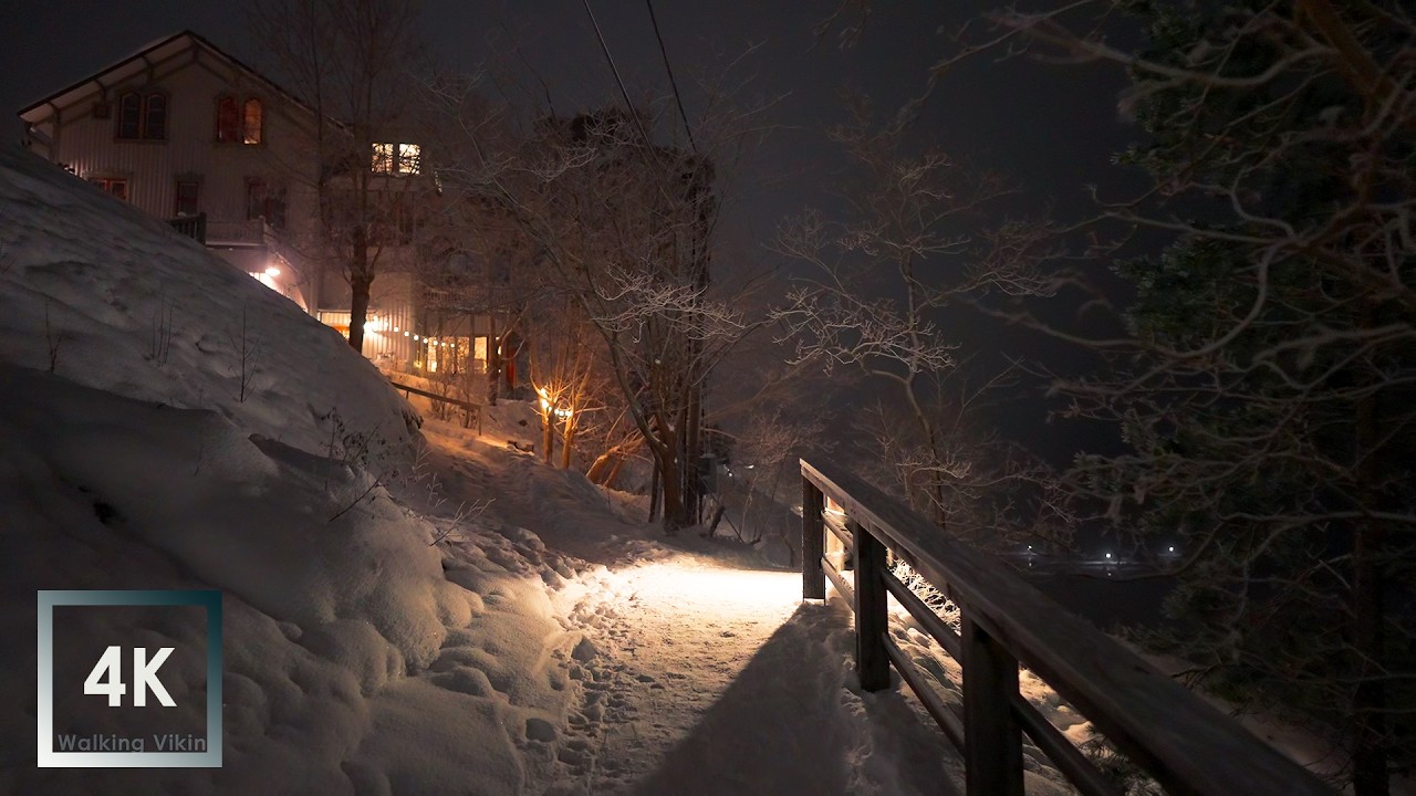 Snowy Silent Night Walk sweden 4K HDR