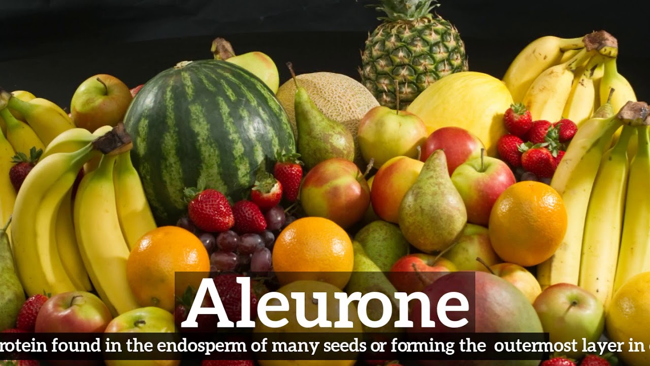 What is Aleurone? | How to Say Aleurone in English? | How Does Aleurone Look?
