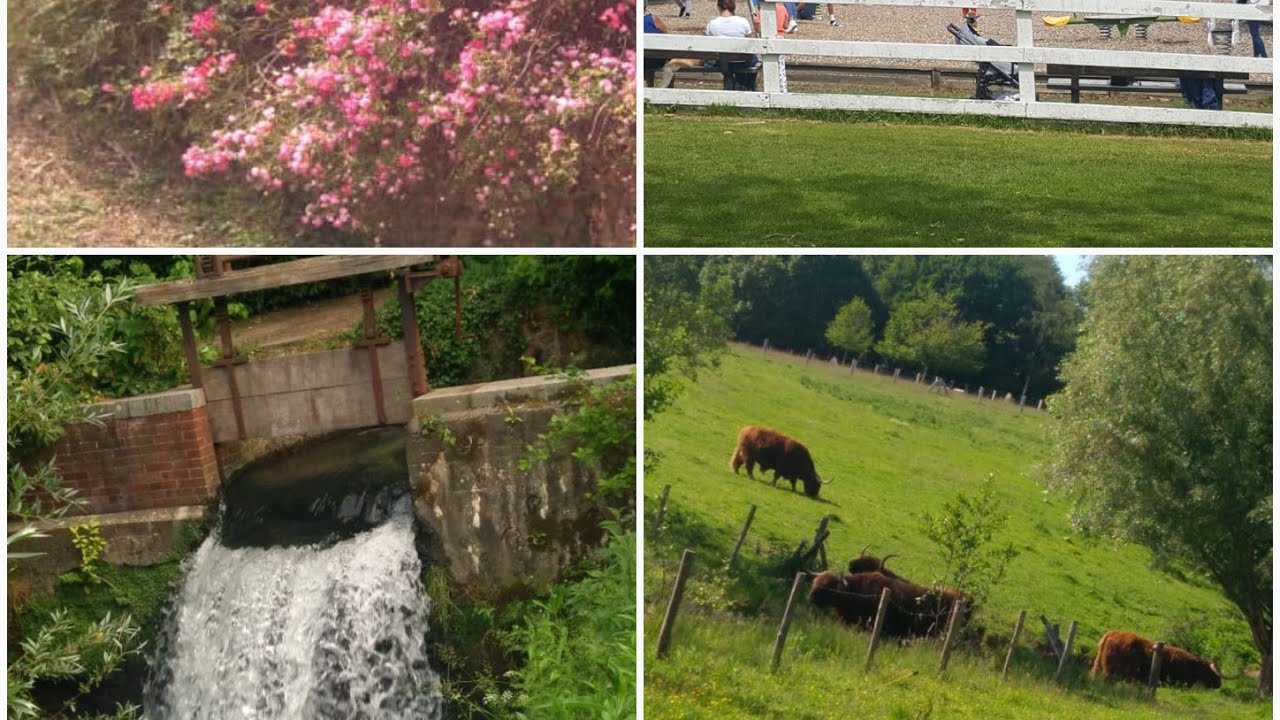 Park of Rouelles Part 3/Parc de Rouelles/urdu/hindi vlogs France