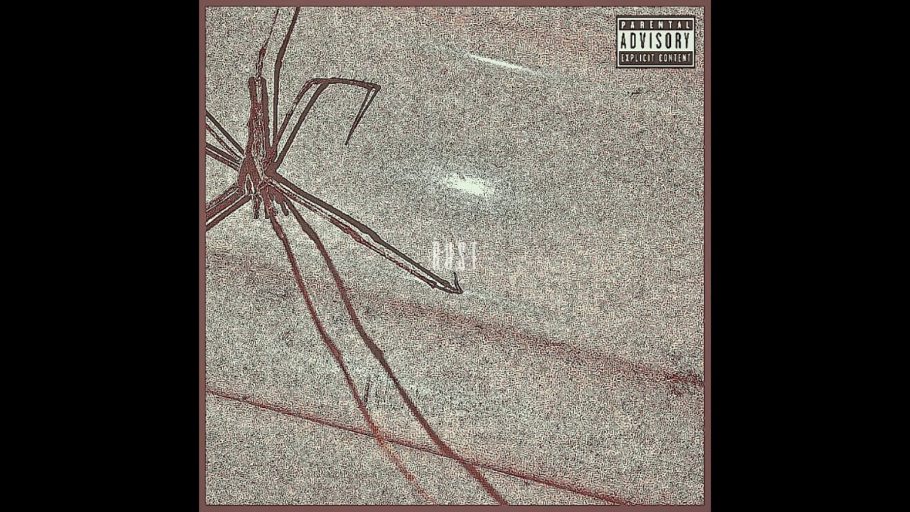 Angelvs - Concussion
