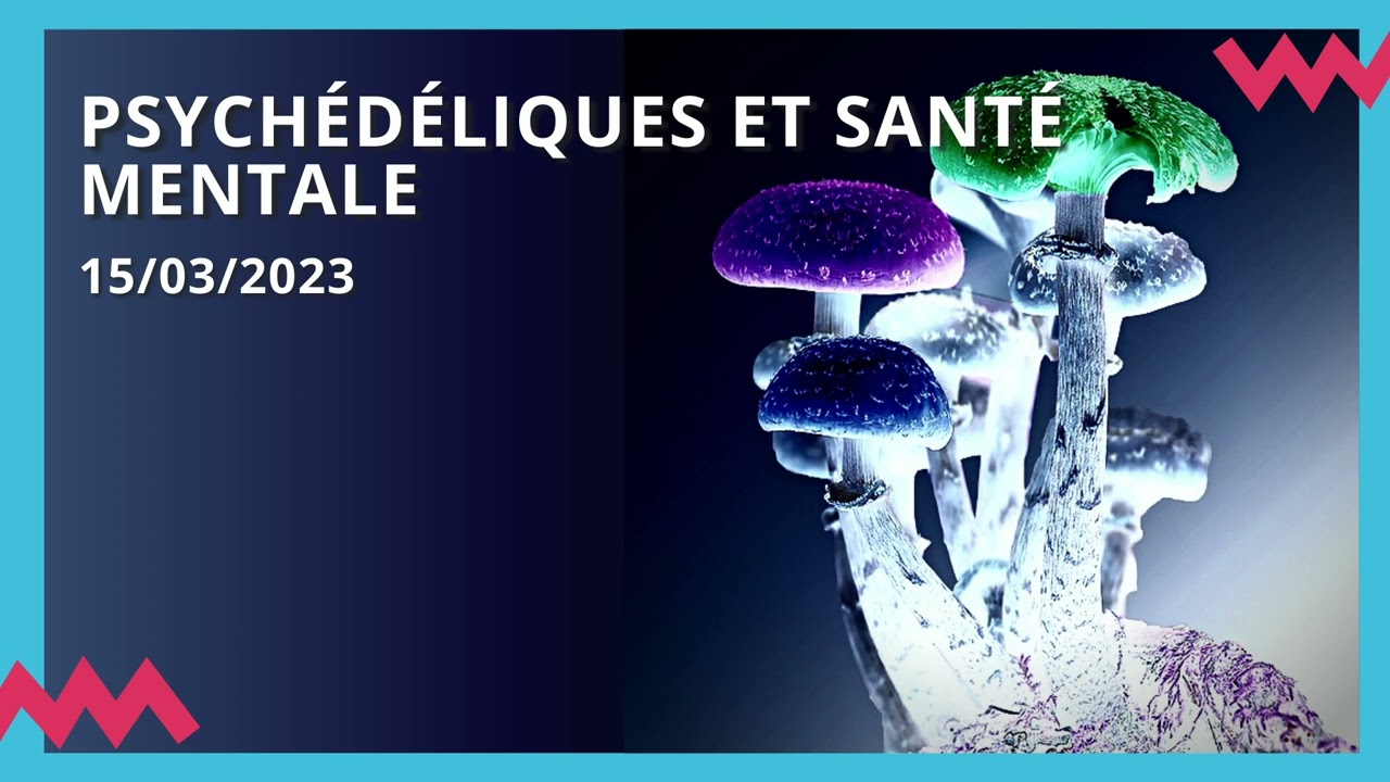 [PODCAST] Psychédéliques et santé mentale