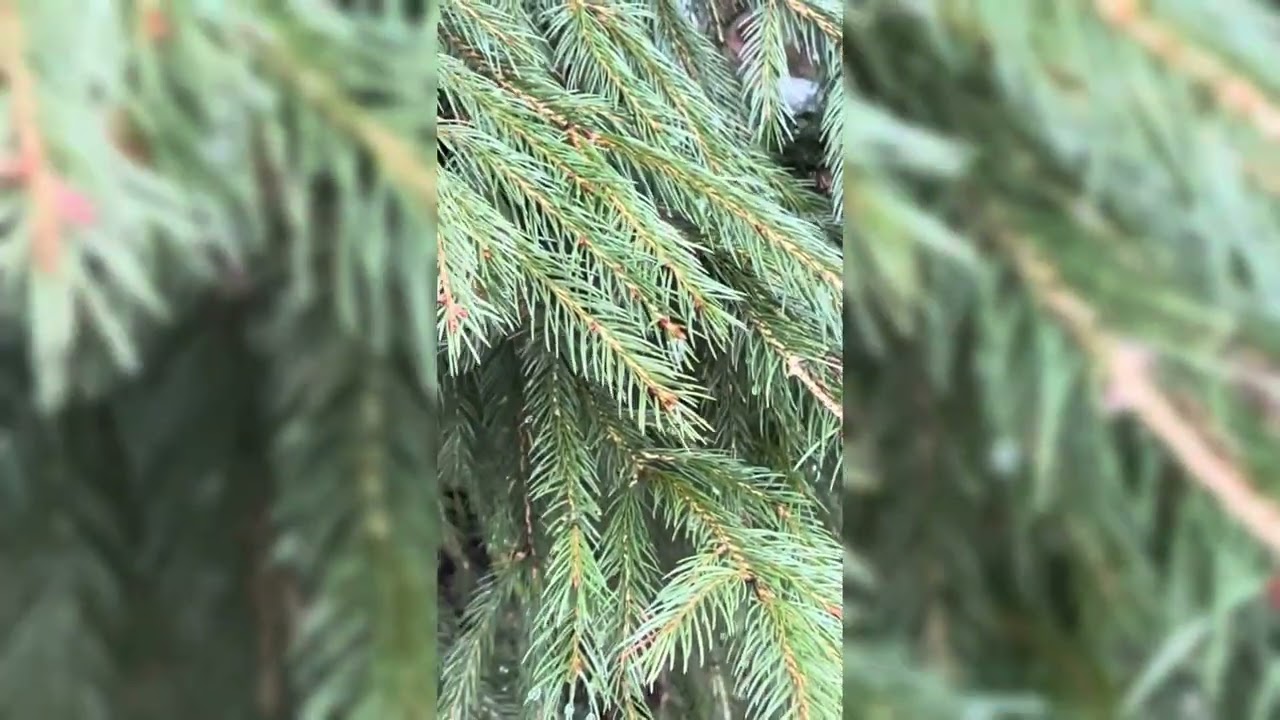 Ich nehme euch ein bisschen mit 🤗