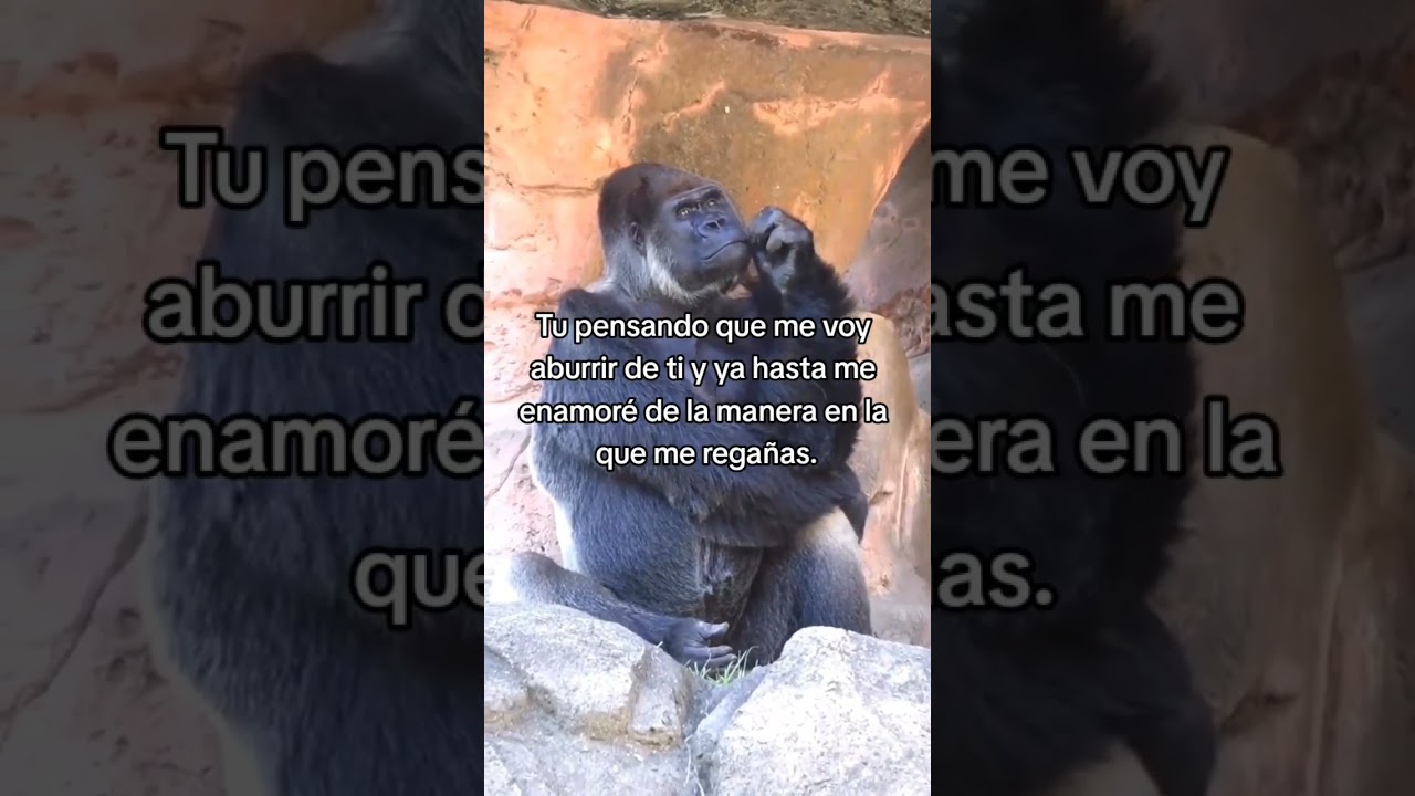 NUNCA ME ABURRIRE DE TI